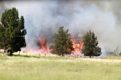 Lightning Strikes Are Dangerous, Causing Severe injury and Property Damage